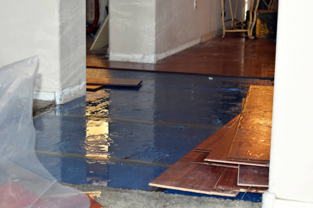 Professional Burst Pipe Cleanup technician working in Mill Village, PA